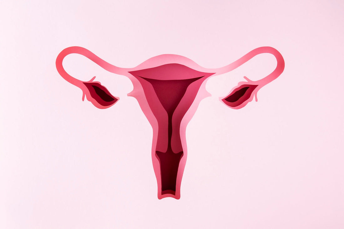 healthy vagina