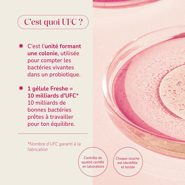 Freshe Intima Spécial flore intime